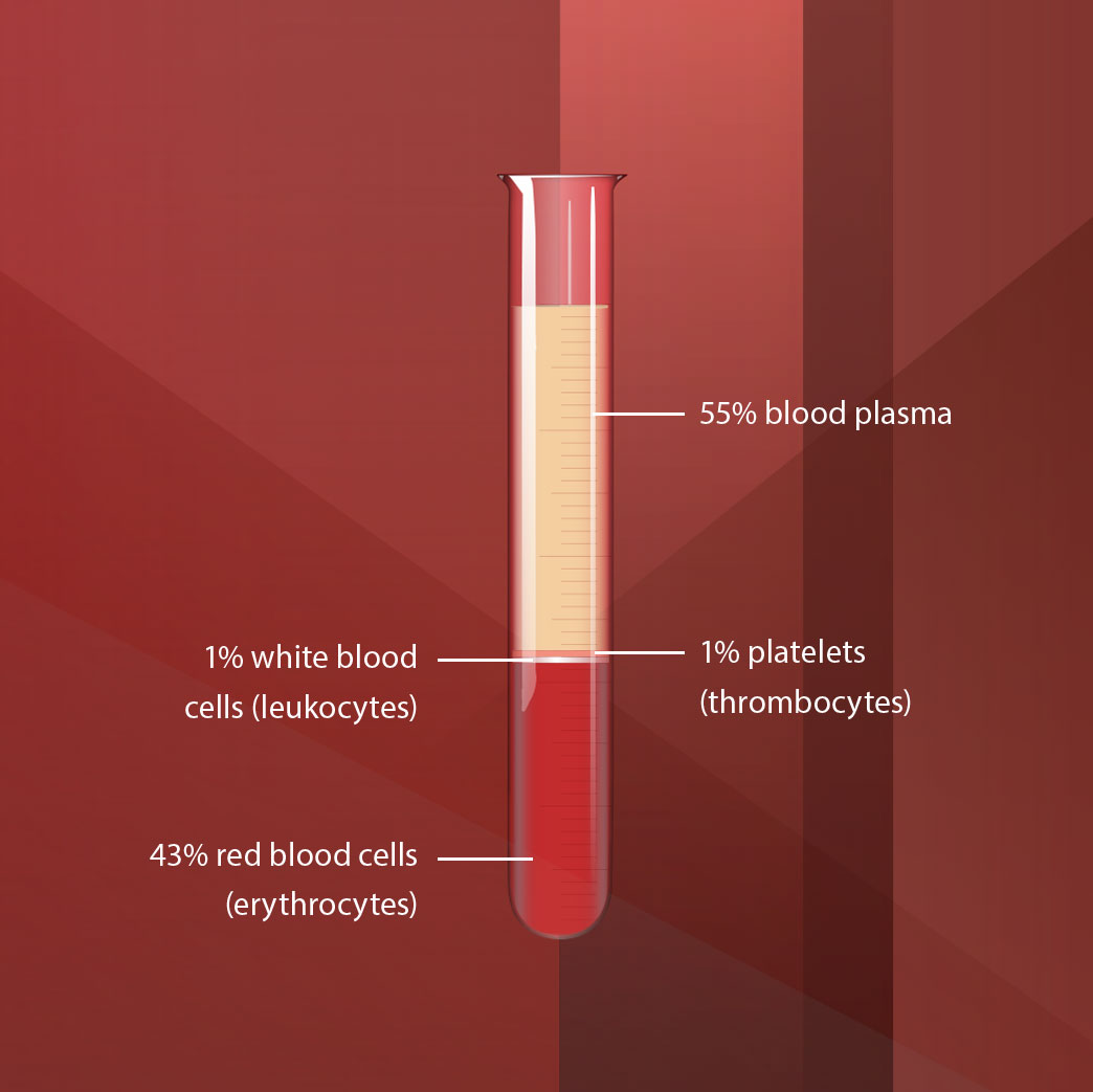 Components of blood